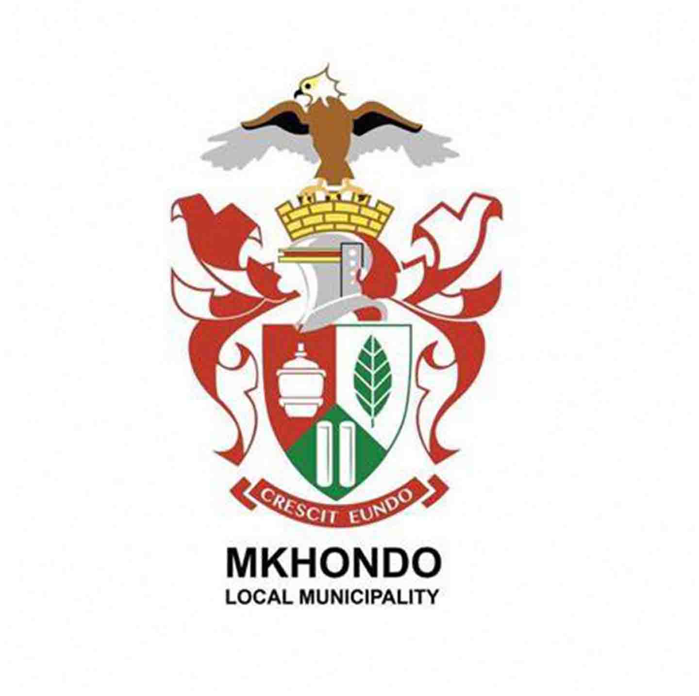 Mkhondo Local Municipality Mkhondo Local Municipality