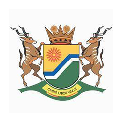 cogta MP cogta MP